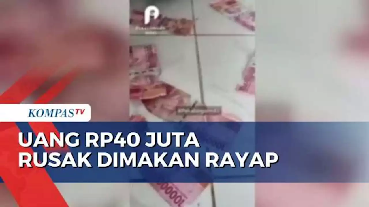 Simpan Uang di Bawah Ranjang, Uang Rp40 Juta Dimakan Rayap