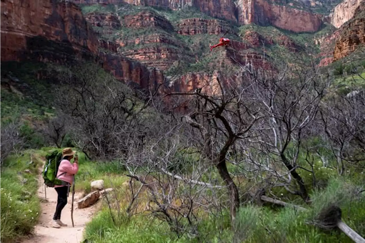 Havasupai Tribe in Arizona marks a spiritual homecoming: ‘We are still the Grand Canyon’