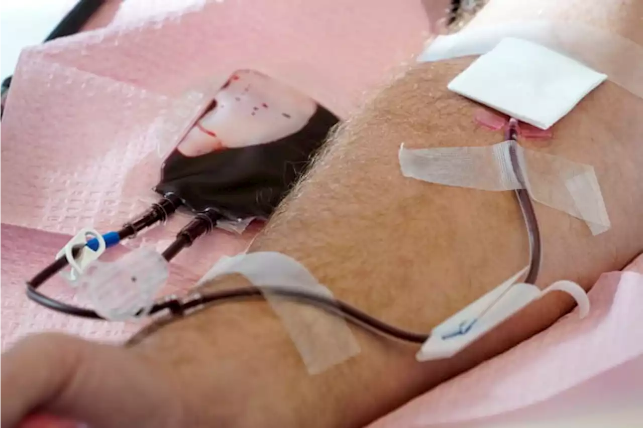 New blood donation rules allow more gay men to give in US