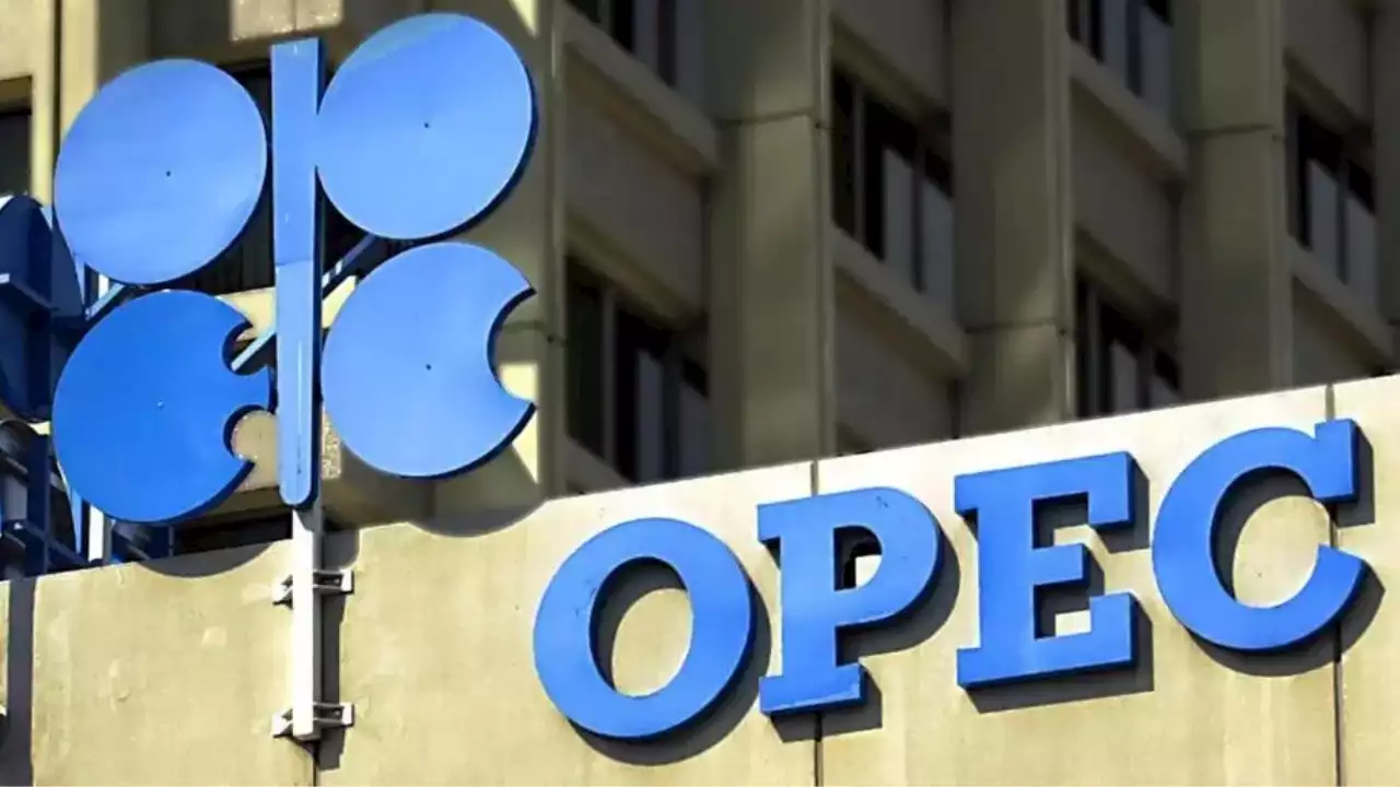 UAE Downplays Further Crude Cut By OPEC