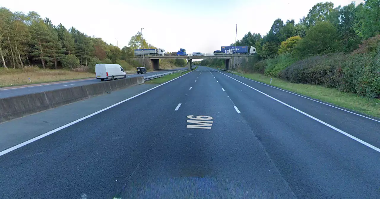 M6 traffic stopped in both directions after sheep block carriageway