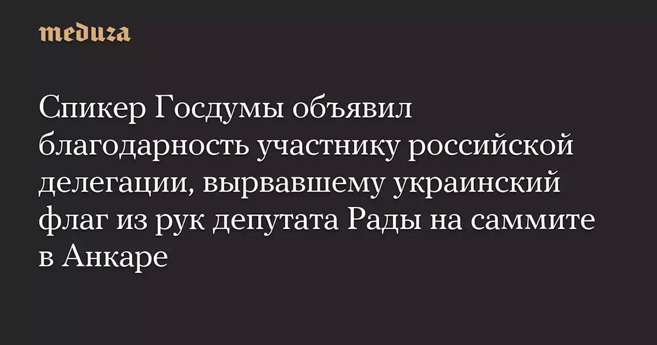 Спикер Госдумы объявил благодарность участнику российской делегации, вырвавшему украинский флаг из рук депутата Рады на саммите в Анкаре — Meduza