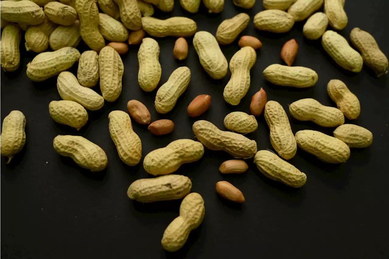 Study: Skin patch shows promise against peanut allergies