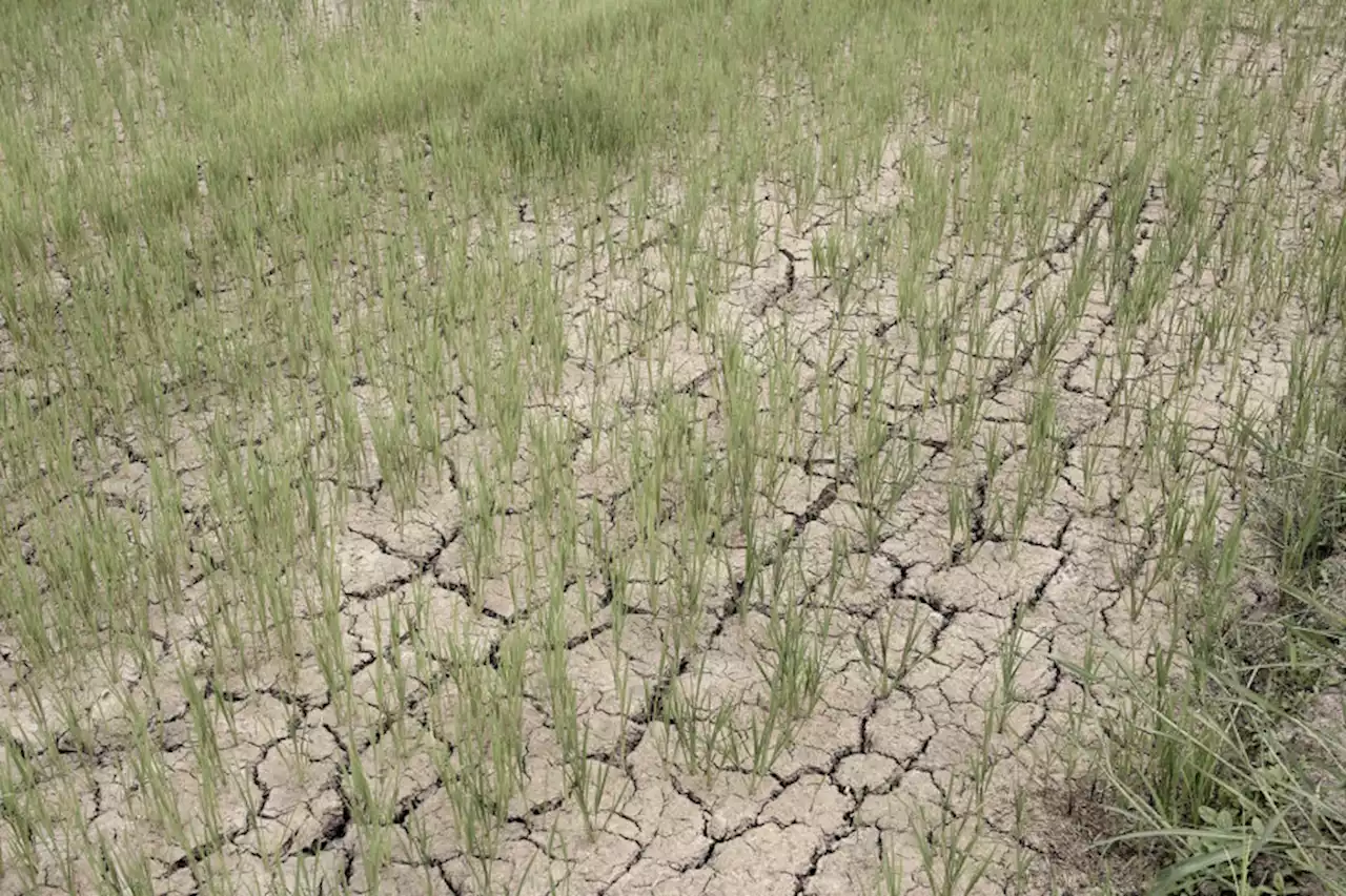 South Cotabato forms El Niño task force