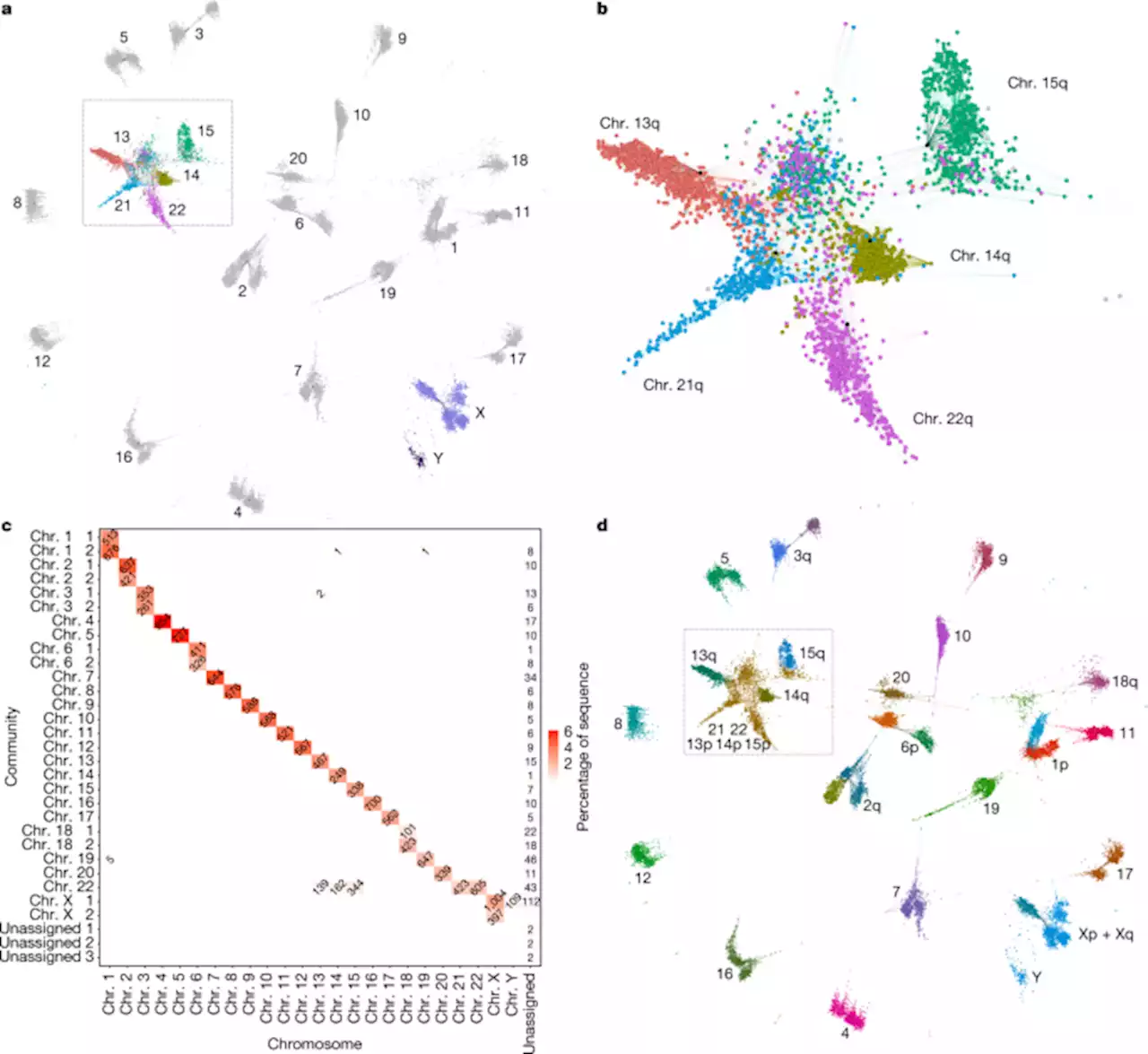 Recombination between heterologous human acrocentric chromosomes - Nature