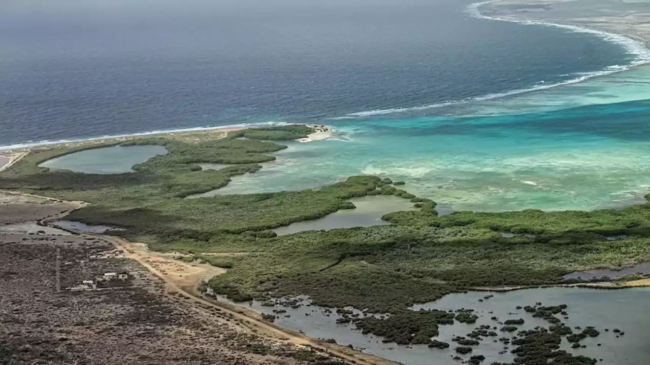 Bonaire eist actie van Nederland in klimaataanpak: 'Wij zijn kind van de rekening'