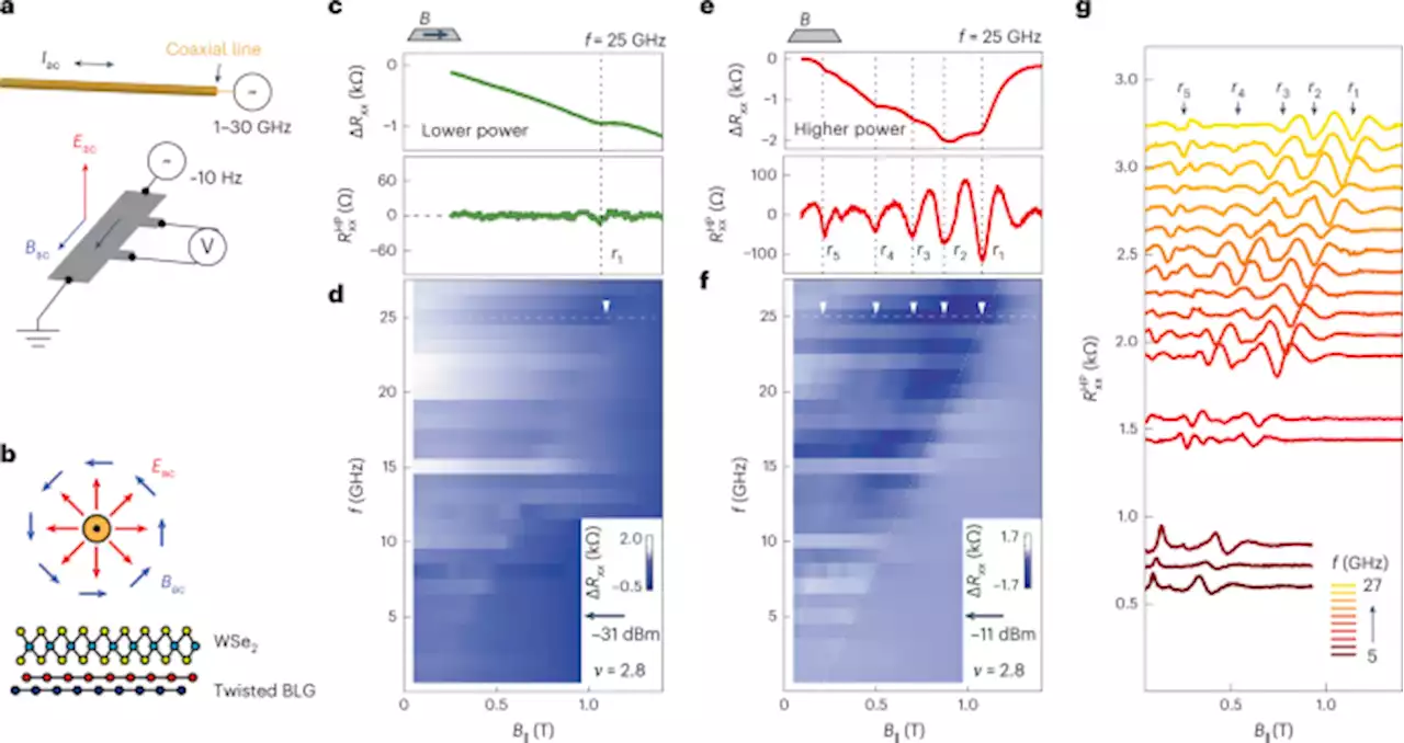 Dirac revivals drive a resonance response in twisted bilayer graphene - Nature Physics