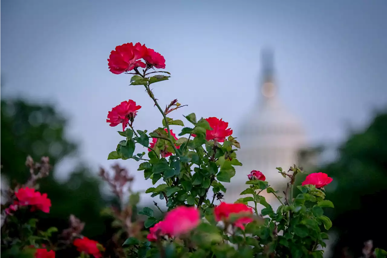 Missed Connection – DC Bike Party - PoPville