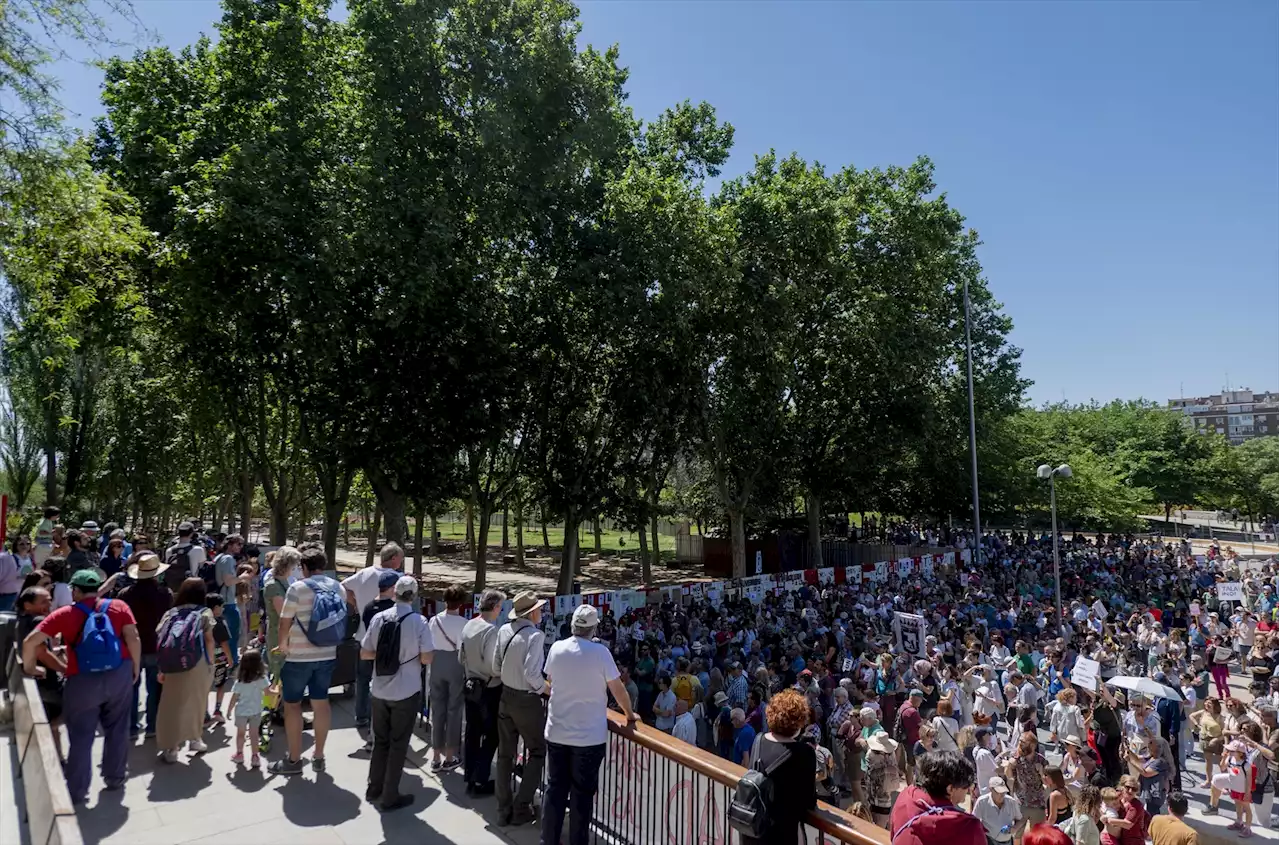 Las elecciones municipales también van de medio ambiente