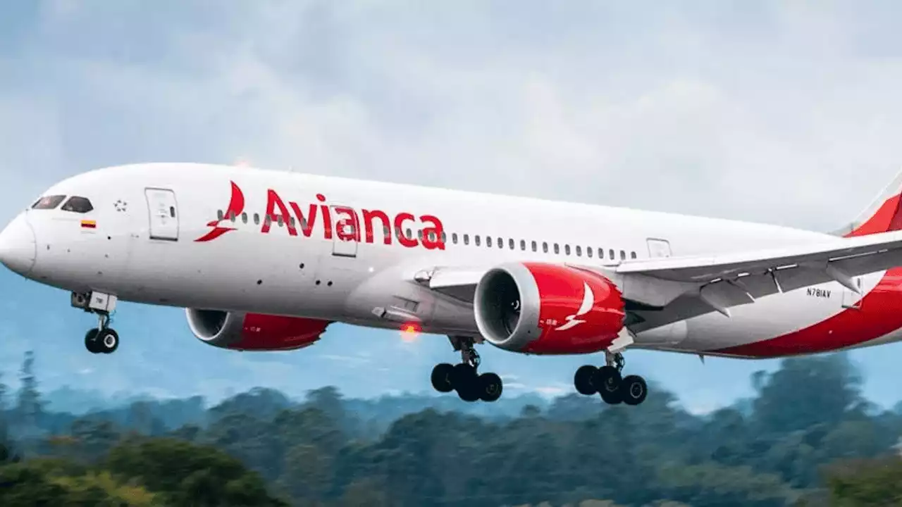 Avianca anuncia nueva ruta para conectar a Bogotá con importante destino turístico - Pulzo