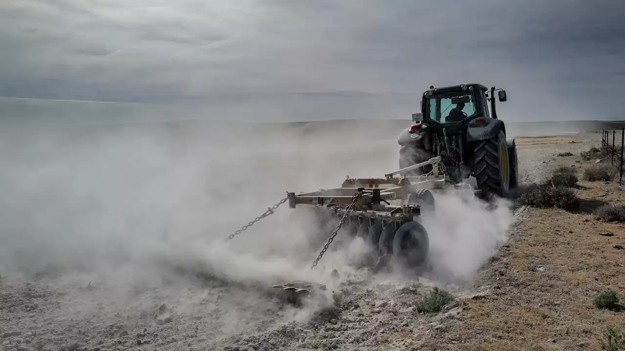 Sequía: El Gobierno aprueba ayudas directas para el campo