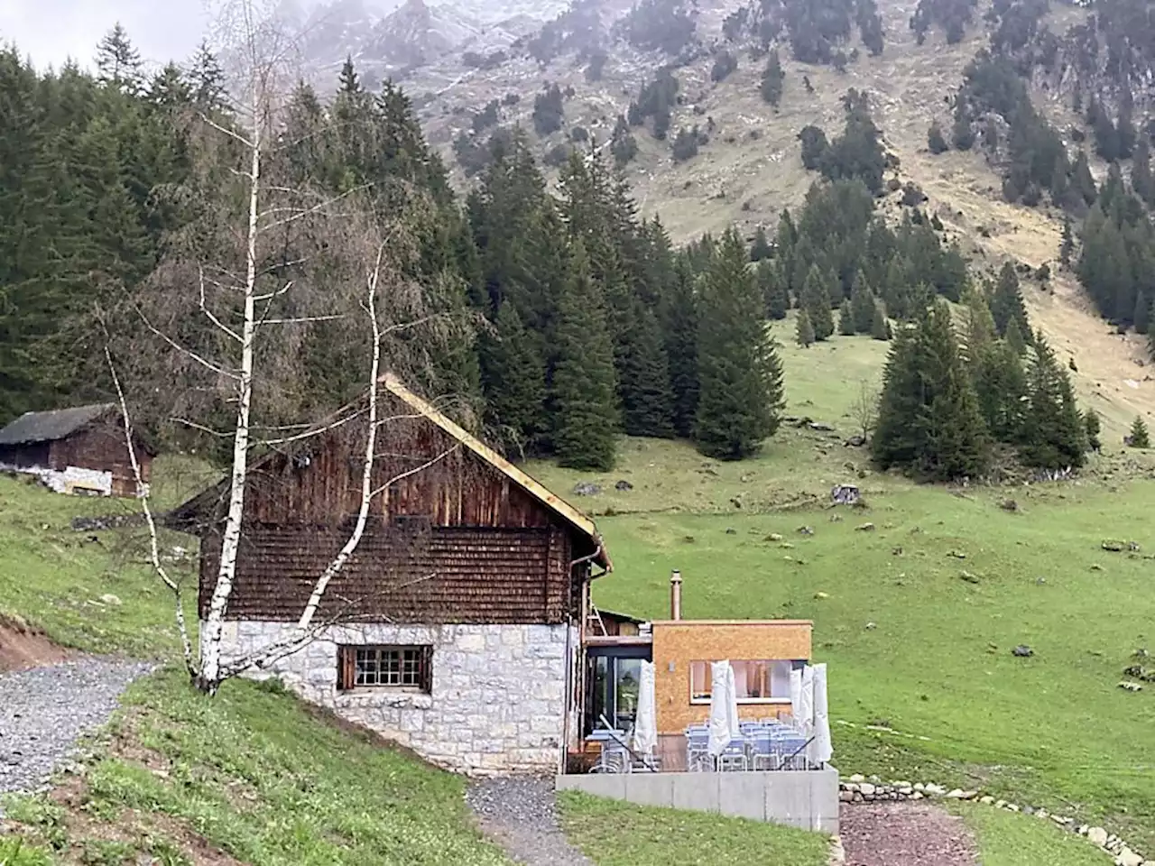 Unfall auf Älplerhütte: Vier Personen vergiftet - Schweizer Bauer