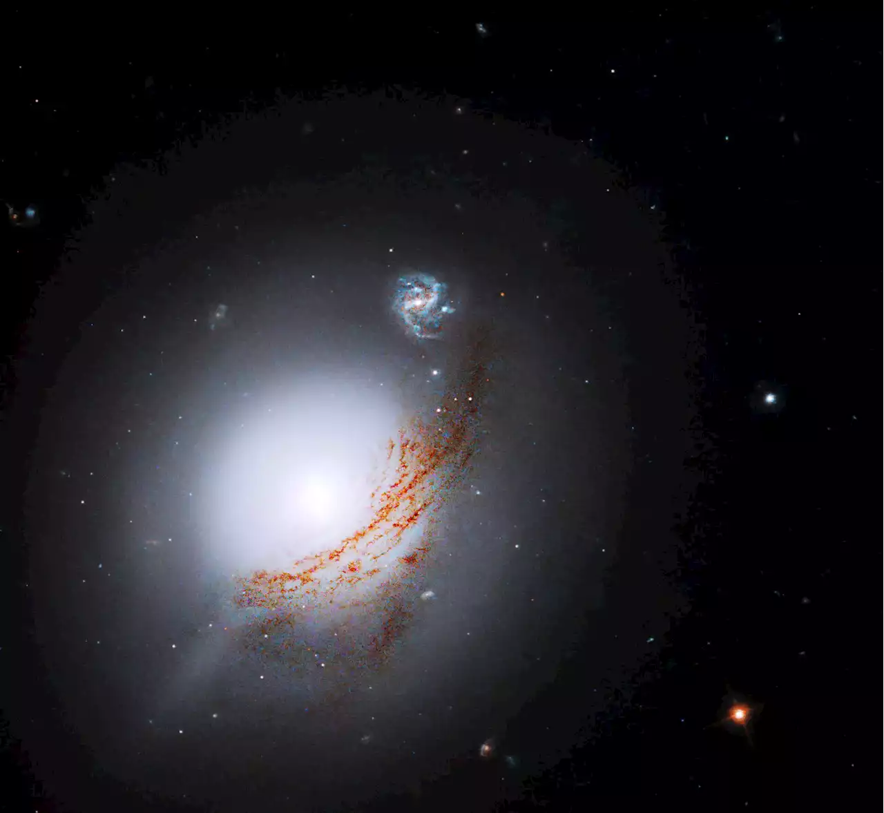 Hubble Zooms In on Cosmic Light Show: Beautiful Luminous Seyfert Galaxy Revealed