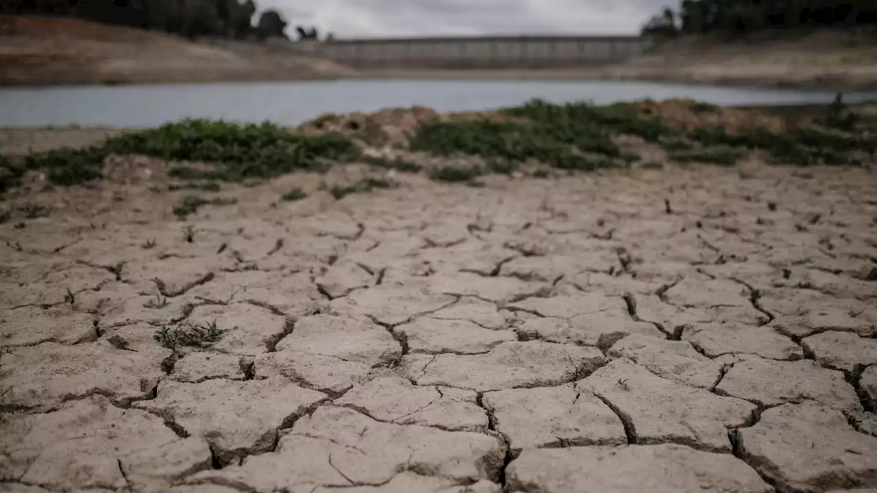 Plan de lucha contra la sequía: estas son las nuevas ayudas del Gobierno a los agricultores