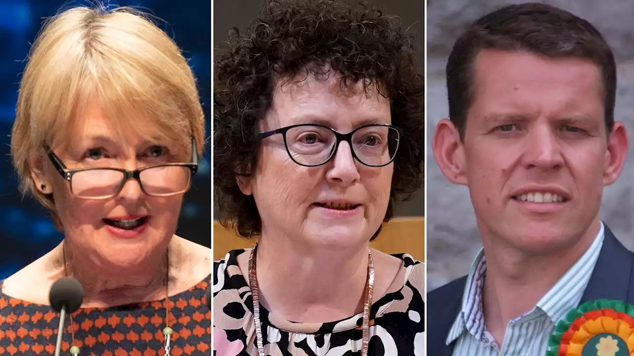 Plaid Cymru: The contenders who could enter leadership election to succeed Adam Price