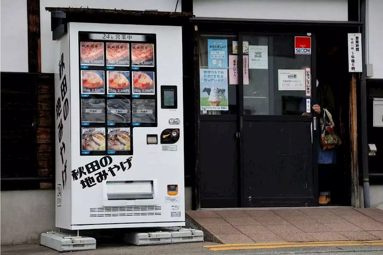 ‘Forest’ of carbon dioxide-sucking vending machines planned in Japan