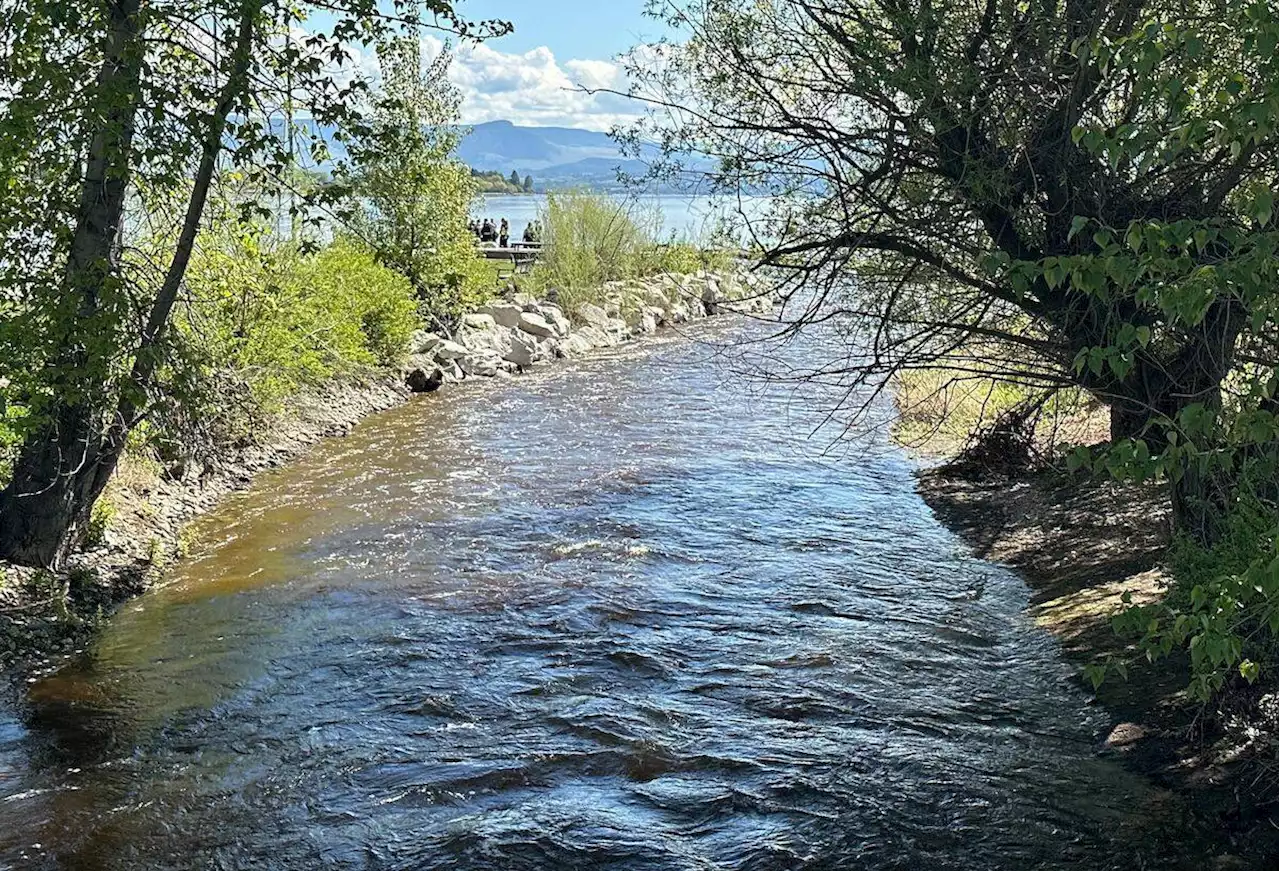 Woman dies after falling in creek in West Kelowna - Terrace Standard