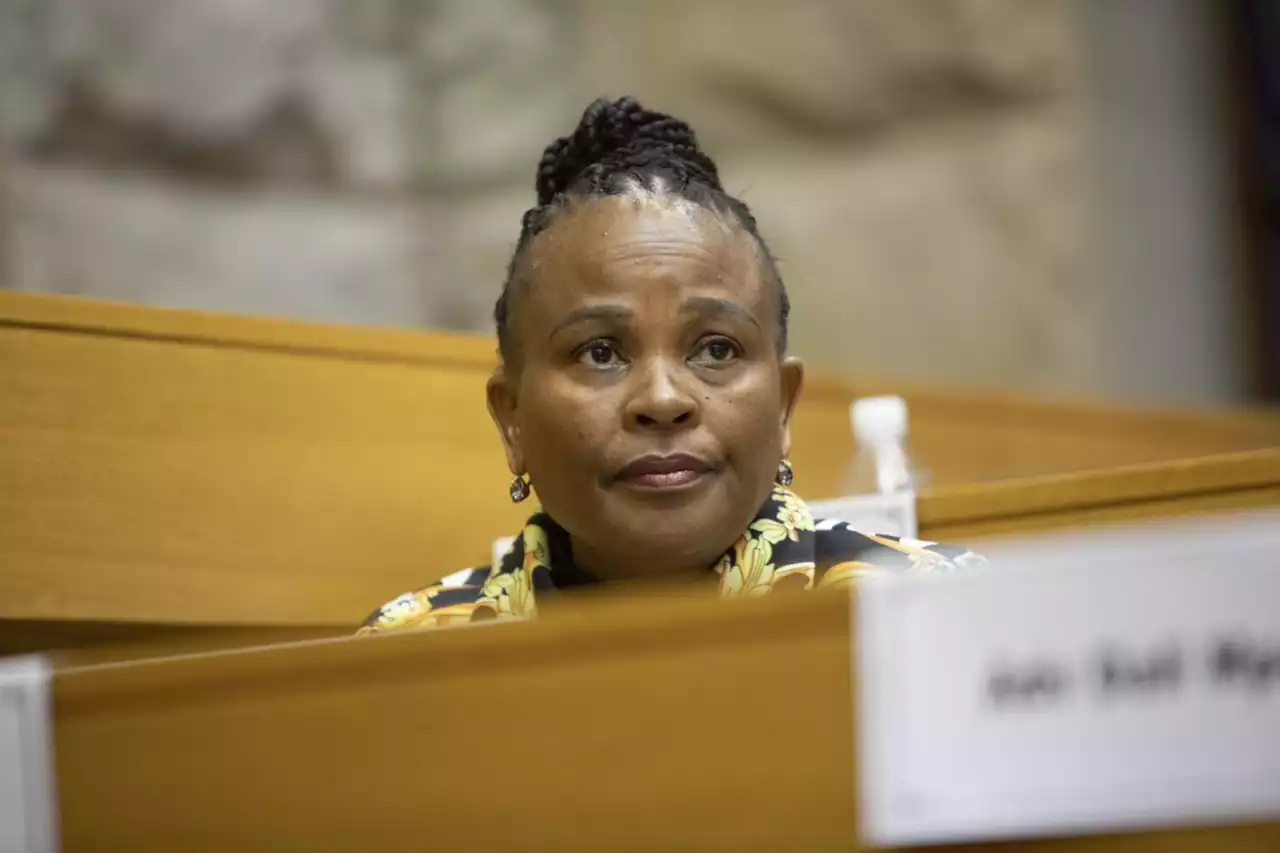 Section 194 Inquiry at risk of collapsing after Parliament refuses to pay Mkhwebane's legal fees | The Citizen