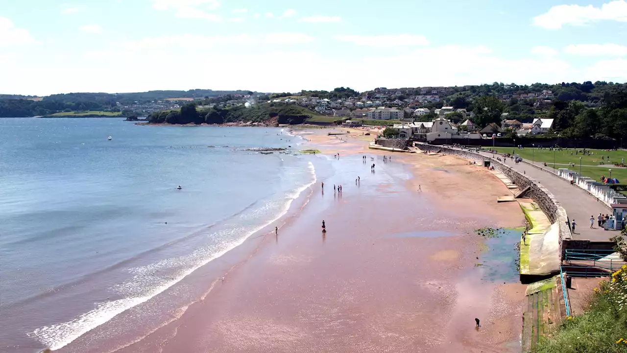 The incredible beach in the UK with stretches of pink sand