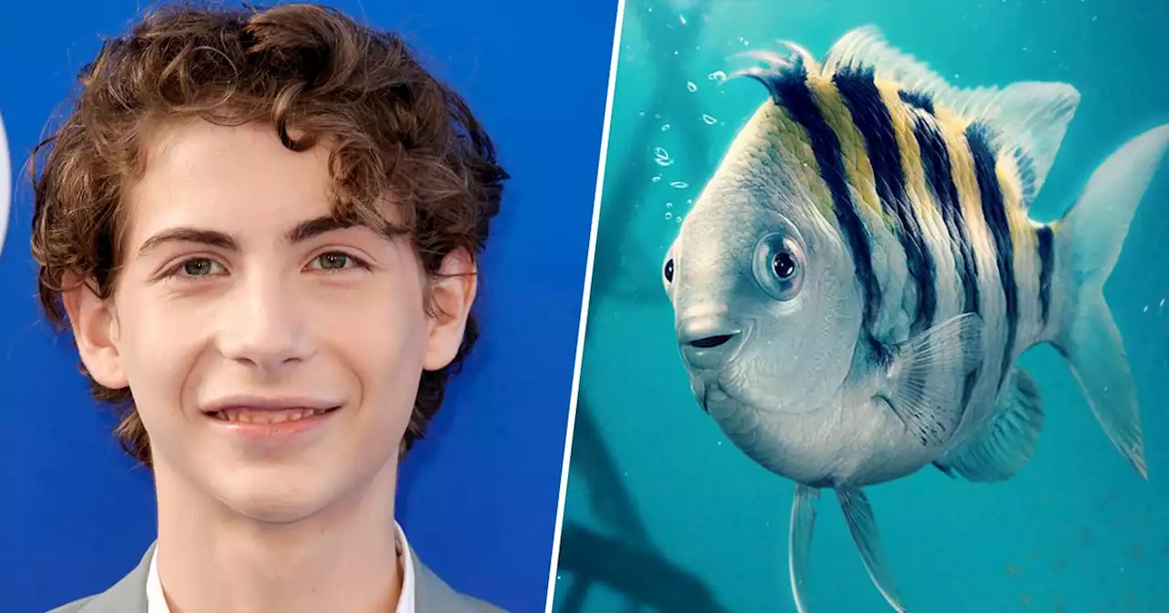 ‘Little Mermaid’ star Jacob Tremblay defends Flounder's live-action look