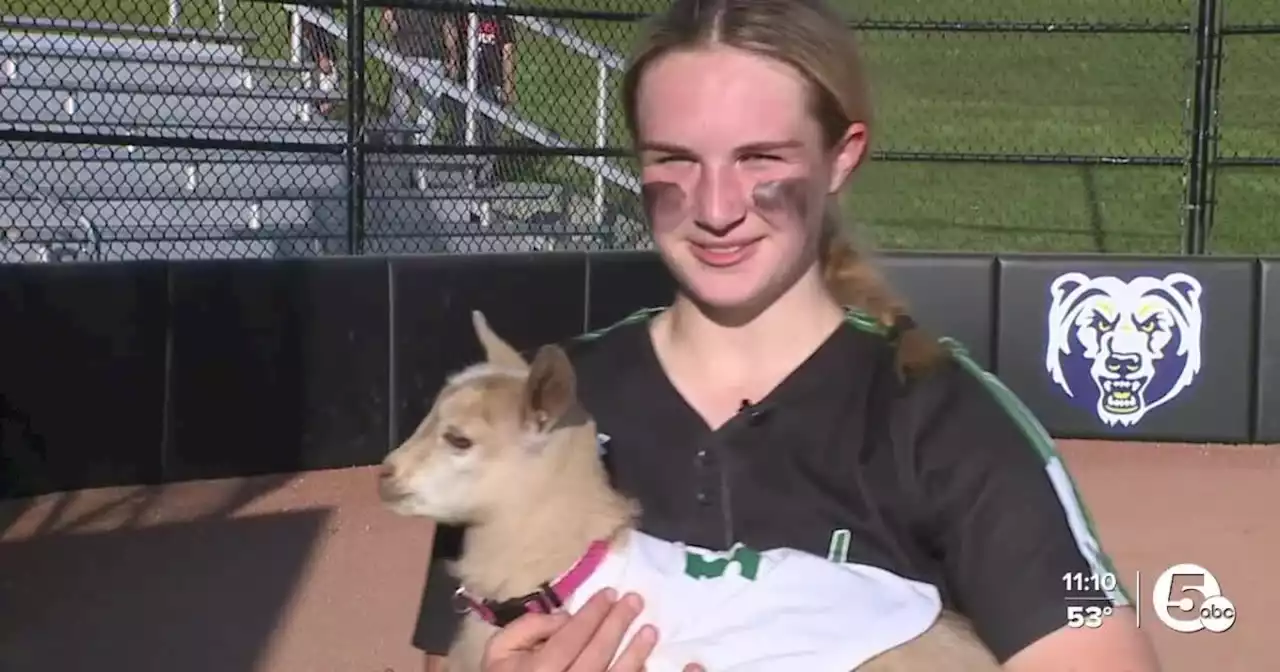 Highland High School softball team's unofficial mascot and good luck charm is the GOAT