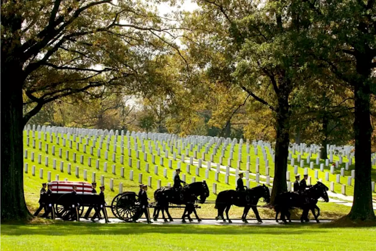 After Arlington National Cemetery horse deaths, Army makes changes to improve their care