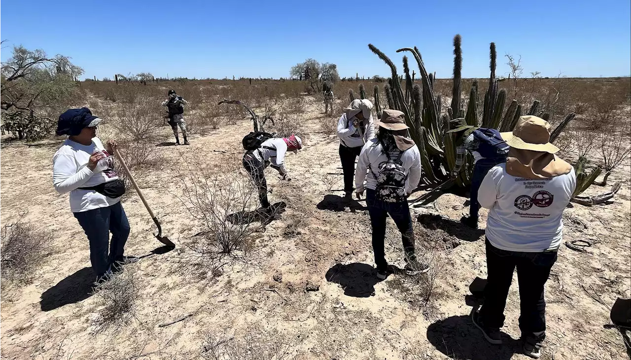 Las mexicanas que pasan el Día de la Madres buscando a sus hijos desaparecidos