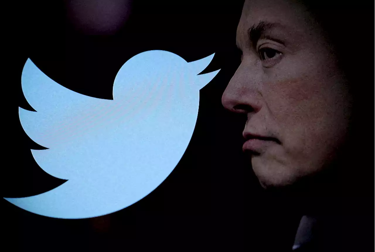 San Francisco: Elon Musk übergibt Twitter in 6 Wochen an Frau