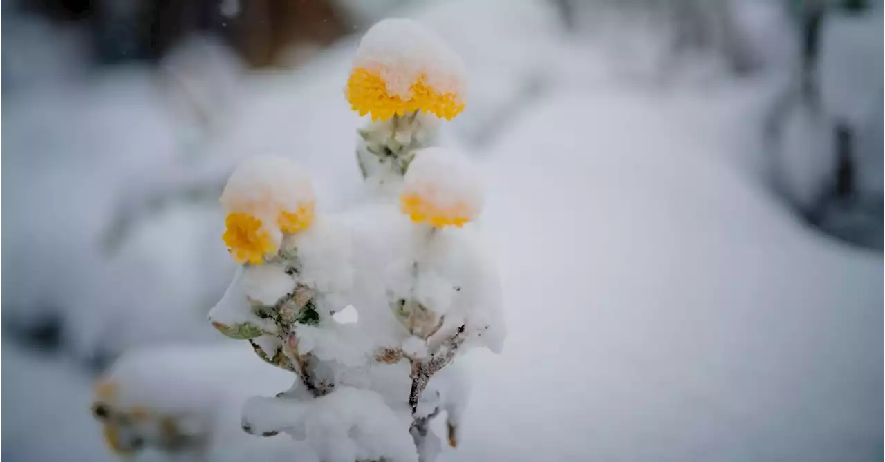 Australia heading towards frosty winter temperatures