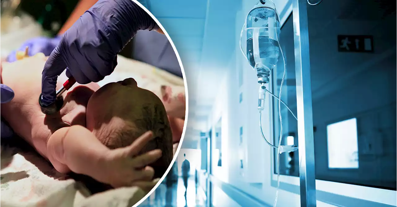 'It's sterilisation, basically': The irreversible medical procedures happening to Aussie babies