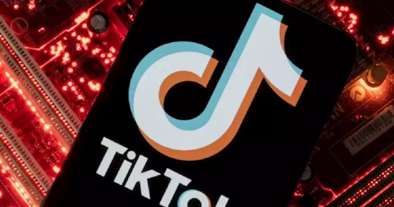 China's TikTok denies report of delay in launch of US shopping platform