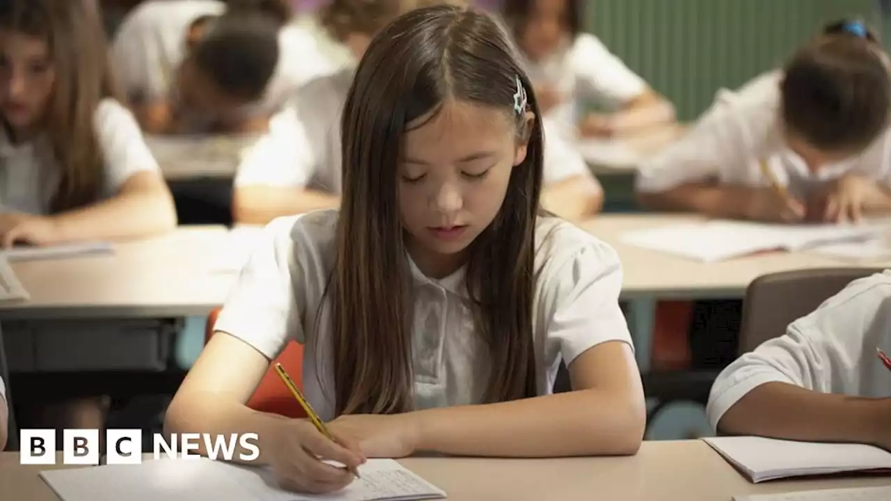 Sats reading paper: Government defends 'challenging' tests