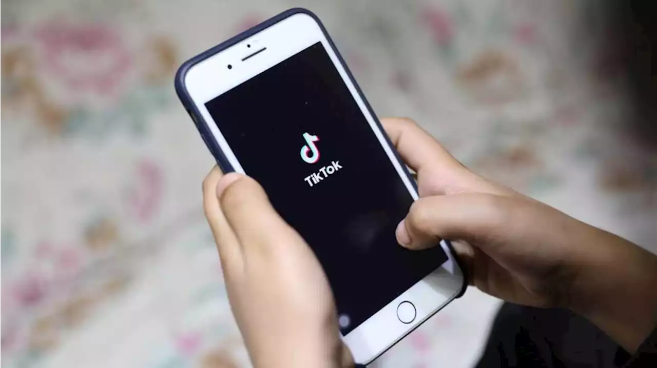 TikTok Debuts New Music Discovery Hub