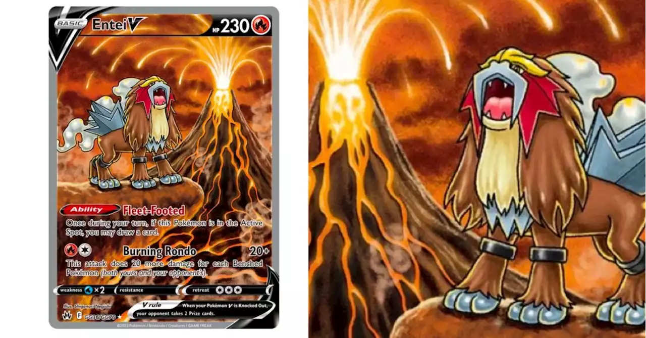 Cards Of Pokémon TCG: Crown Zenith Part 49: Entei Illustration