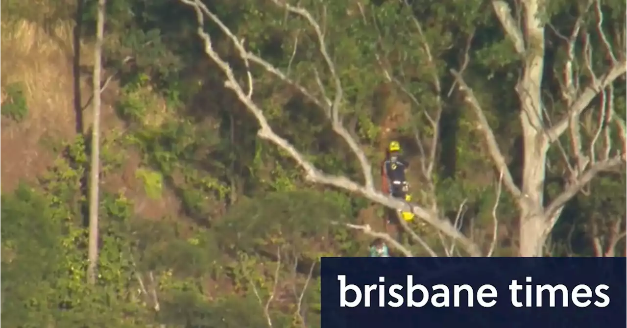 Woman falls 30 metres from lookout near Mount Tamborine