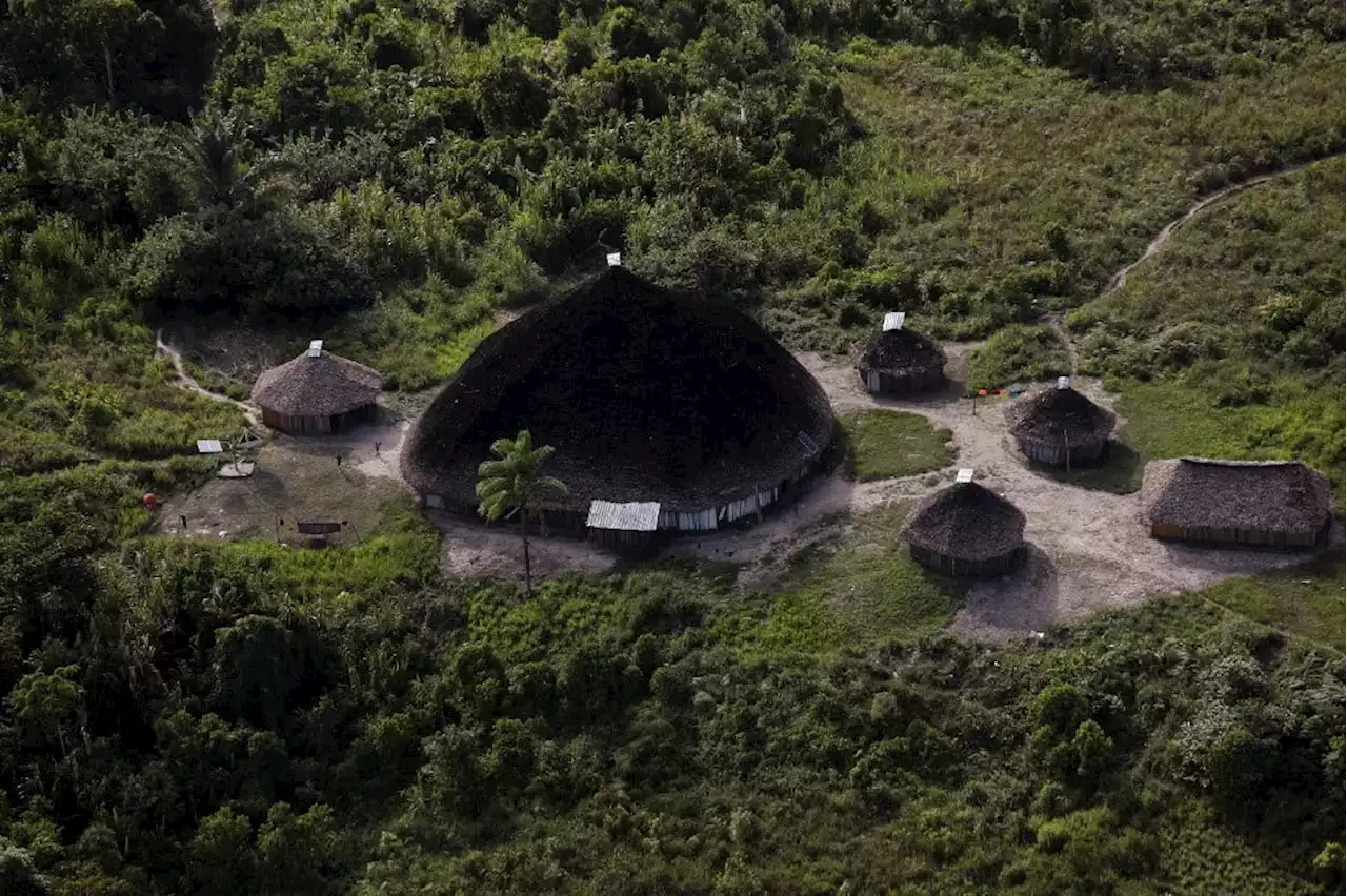 Ofício da Funai aponta omissão do governo Bolsonaro na crise Yanomami