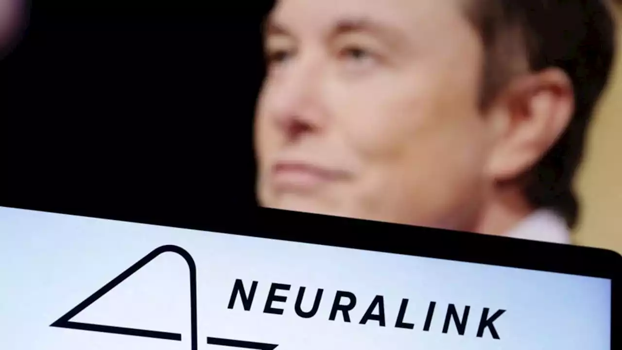 US lawmakers seek probe of how Elon Musk's brain chip venture oversees animal experiments