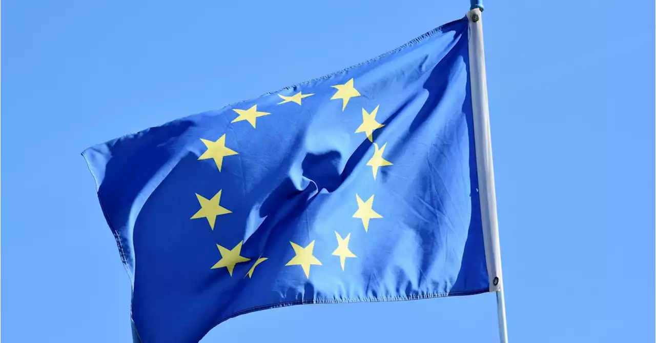 EU Crypto Tax Plans Include NFTs, Foreign Companies, Draft Text Shows