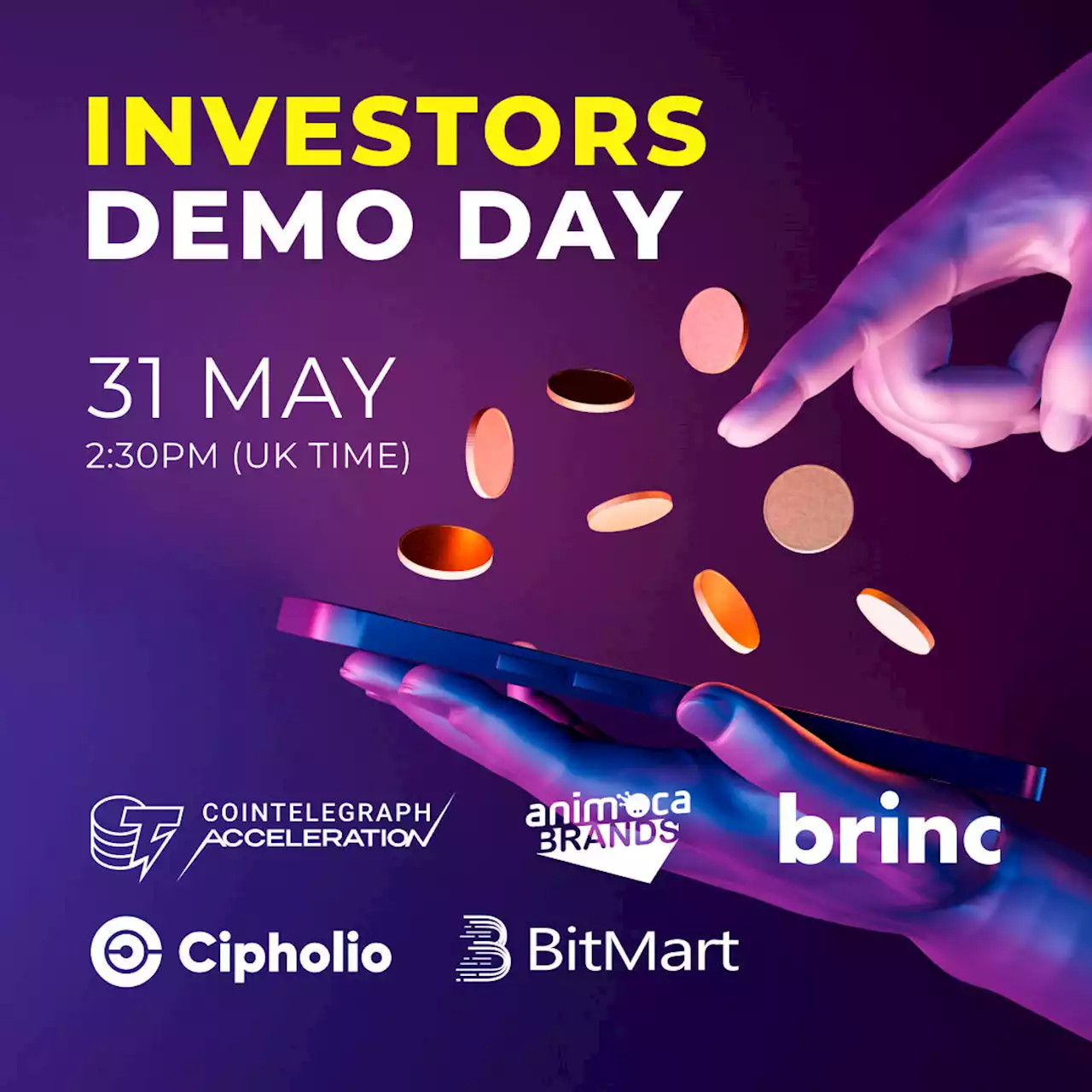 Animoca Brands, Cipholio and Cointelegraph Accelerator to host a joint Demo Day