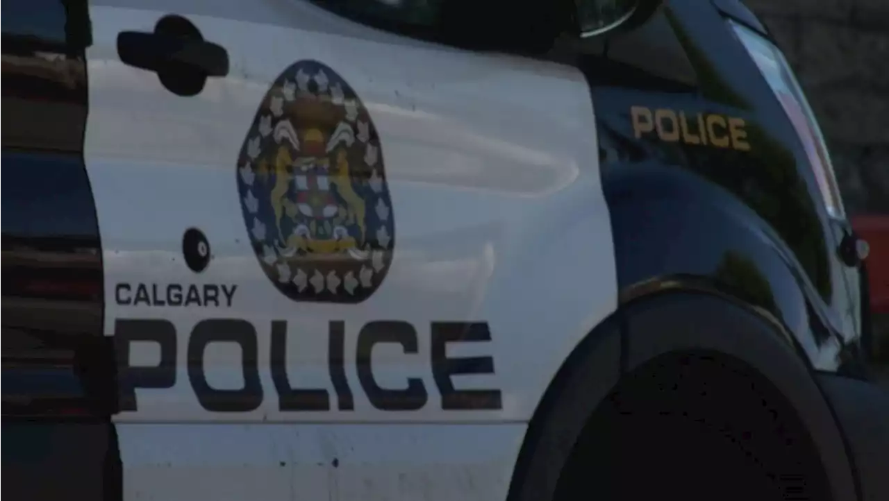 Police catch dog they say may have attacked people in Mt. Royal and Killarney