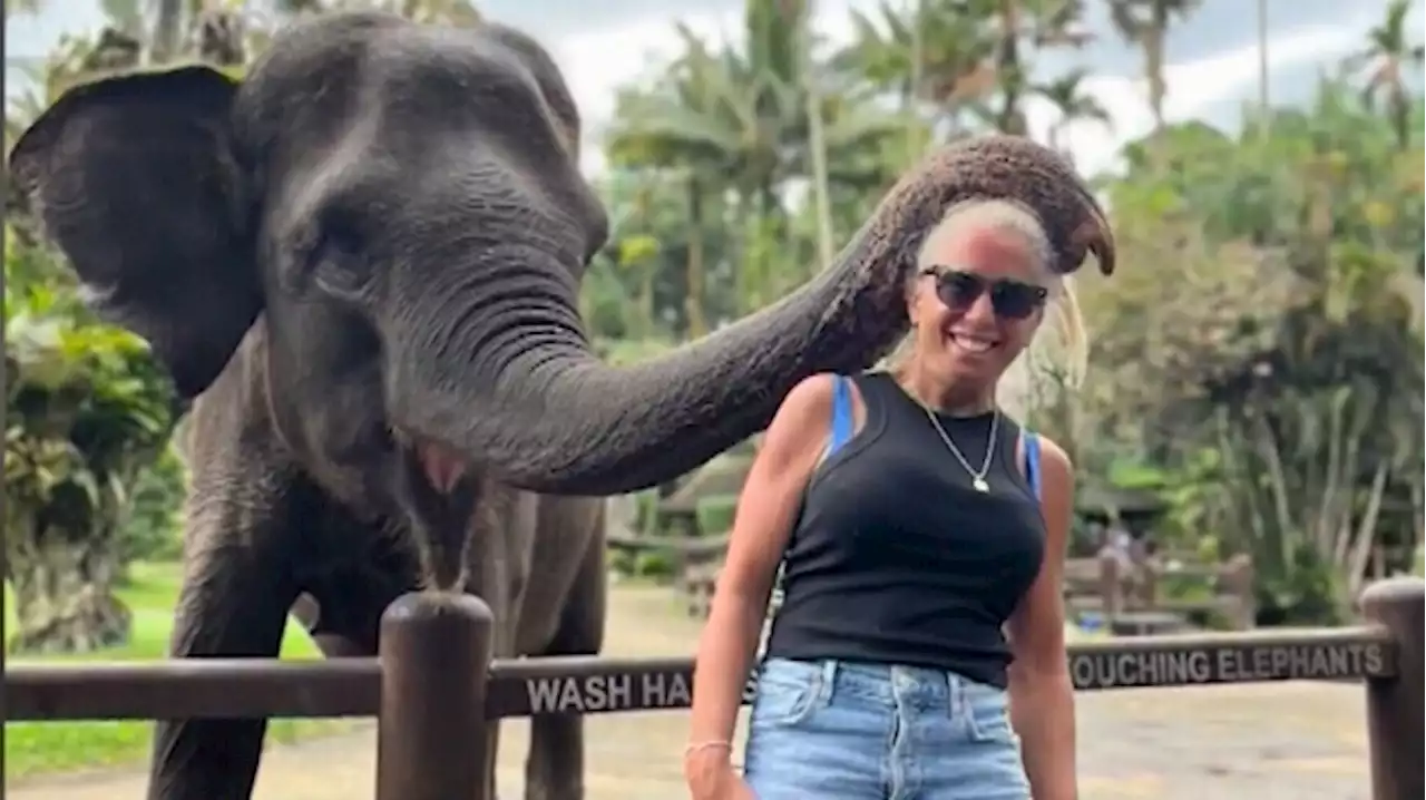 American bitten by elephant on Bali vacation