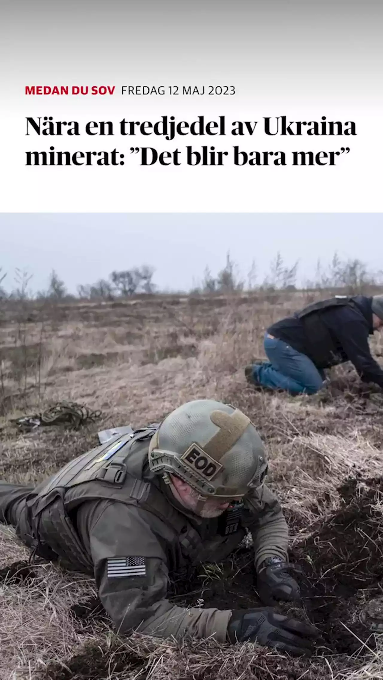 Nära en tredjedel av Ukraina minerat: ”Det blir bara mer”