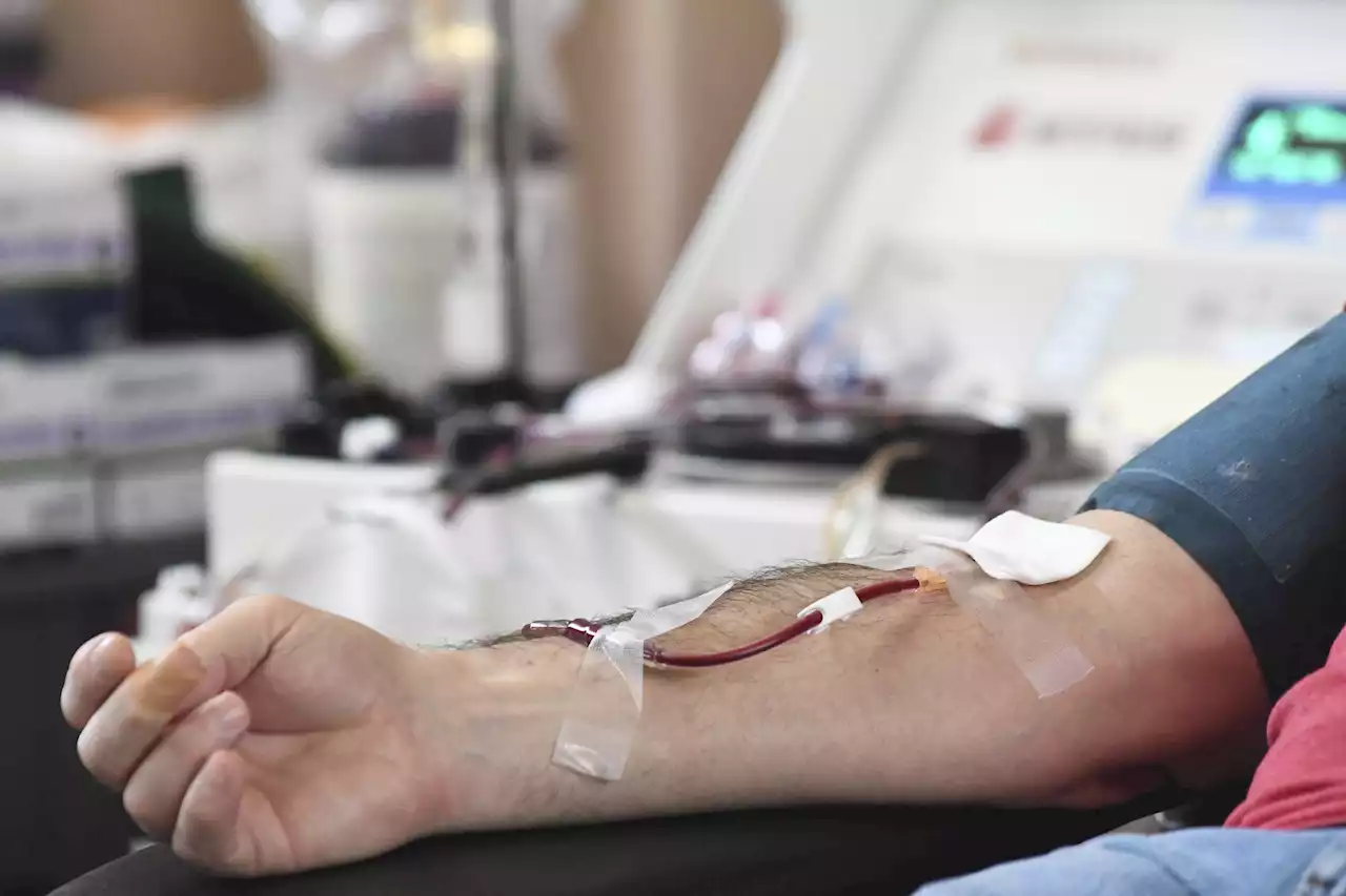 New blood donation rules allow more gay men to give