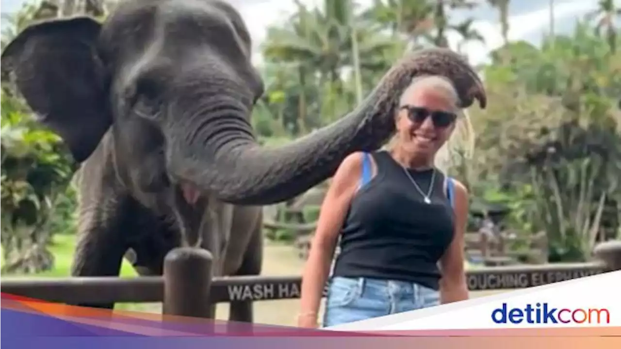 Lengan Wanita Ini Patah Saat Foto Bareng Gajah di Bali