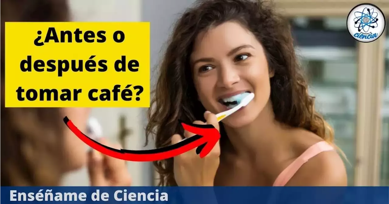 ¿Es Mejor Cepillarse Los Dientes Antes De Tomar Café O Después? Evita ...