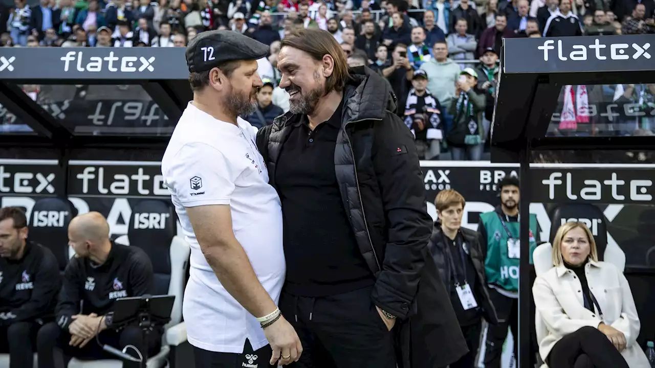 Steffen Baumgart beweist Humor in Comedy-Sendung Studio Schmitt - Köln-Coach legt Gladbach-Schal um