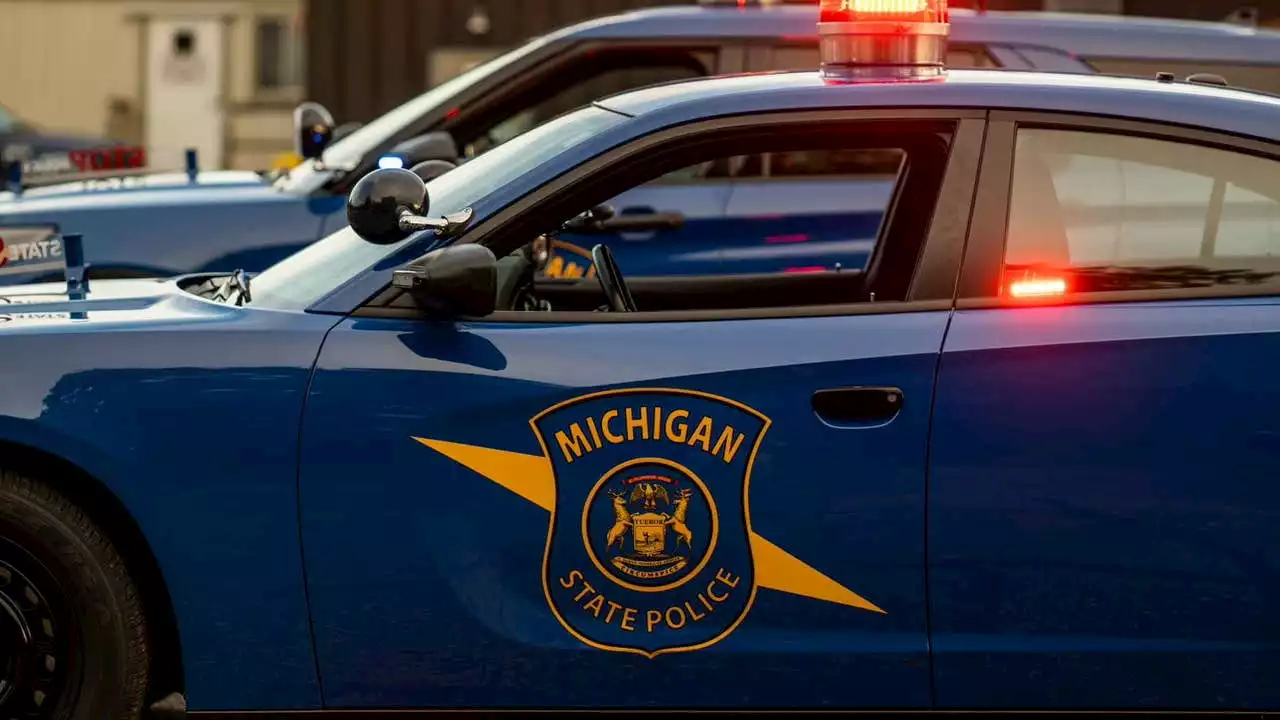 Michigan teen uses slingshot to save sister from abduction while mushroom hunting