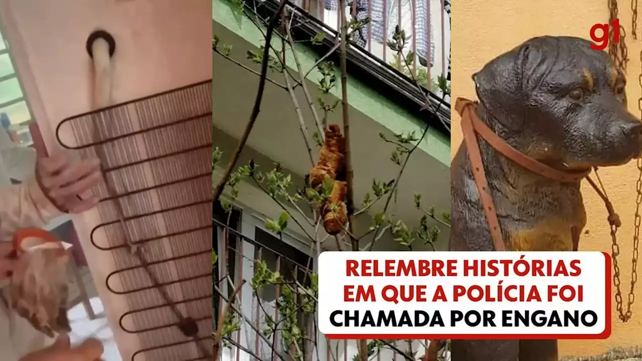 Berros de cabra, cachorro de plástico, croissant em árvore: relembre histórias bizarras em que a polícia foi chamada por engano