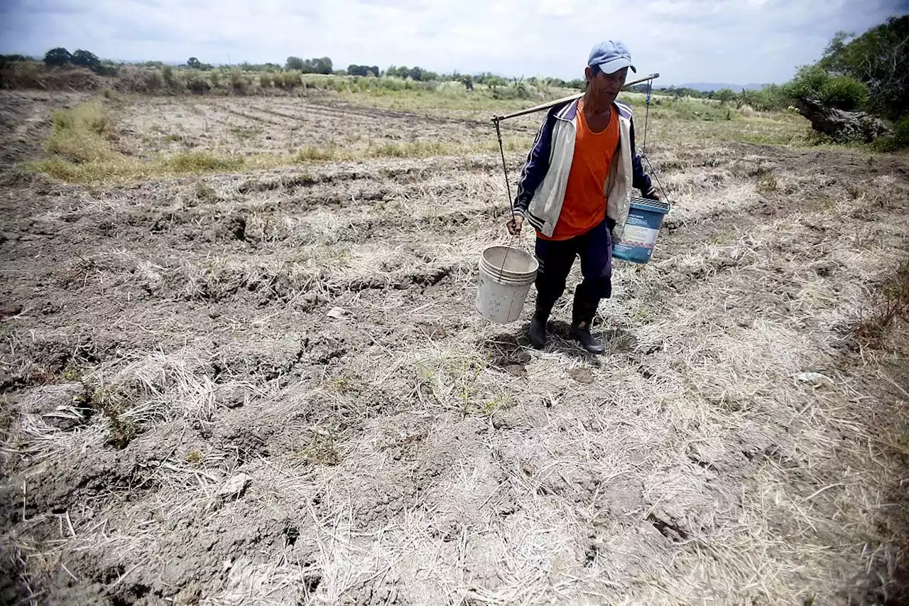 DA preparing, mapping out areas that will be affected by El Niño