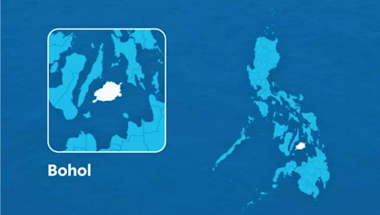 Suspected NPA rebel slain in Bohol clash